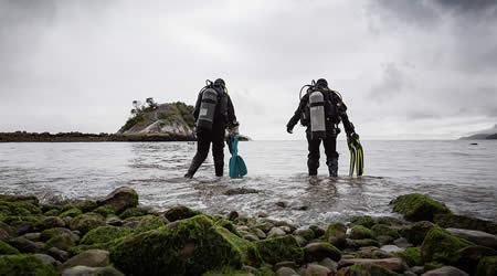 Shore Diving in British Columbia and Vancouver Island