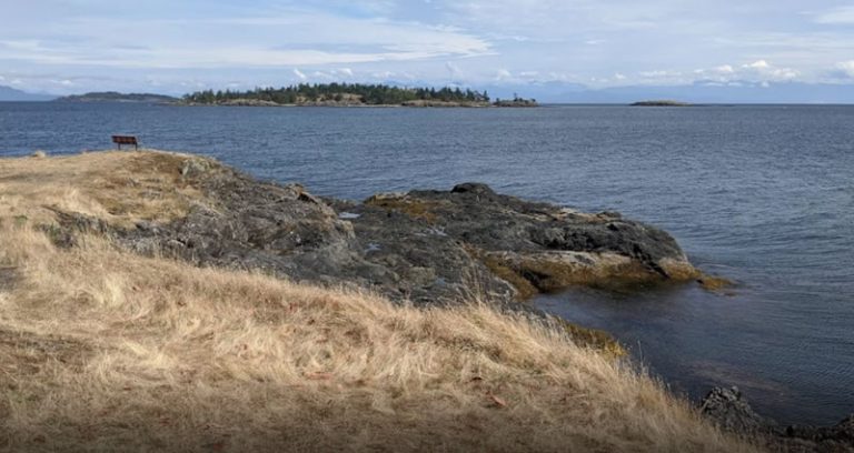 (Tyee Cove) Blueback Community Park Dive Site