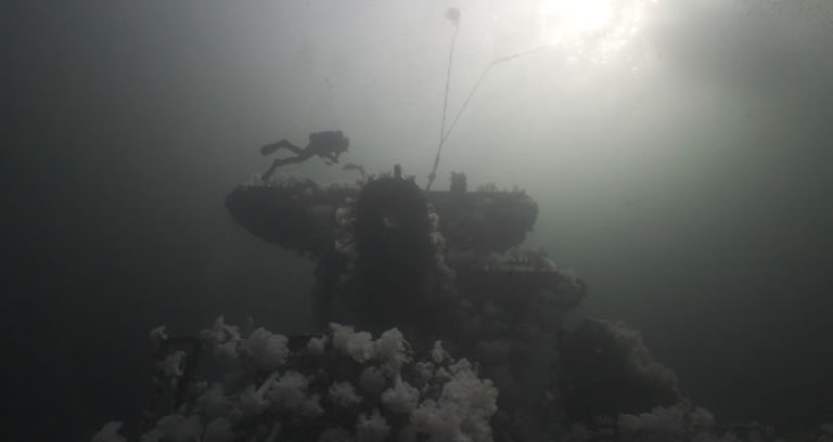 When Is The Best Time Of Year To Scuba Dive On Vancouver Island?