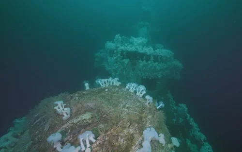 Wrecks