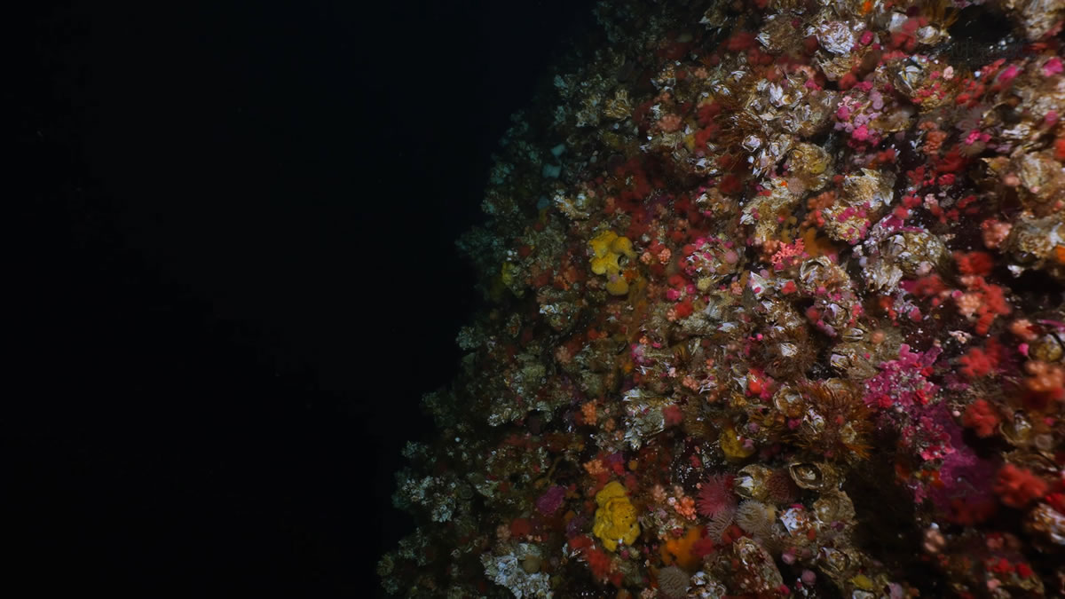 A deep and colorful wall at Plumpers Rock