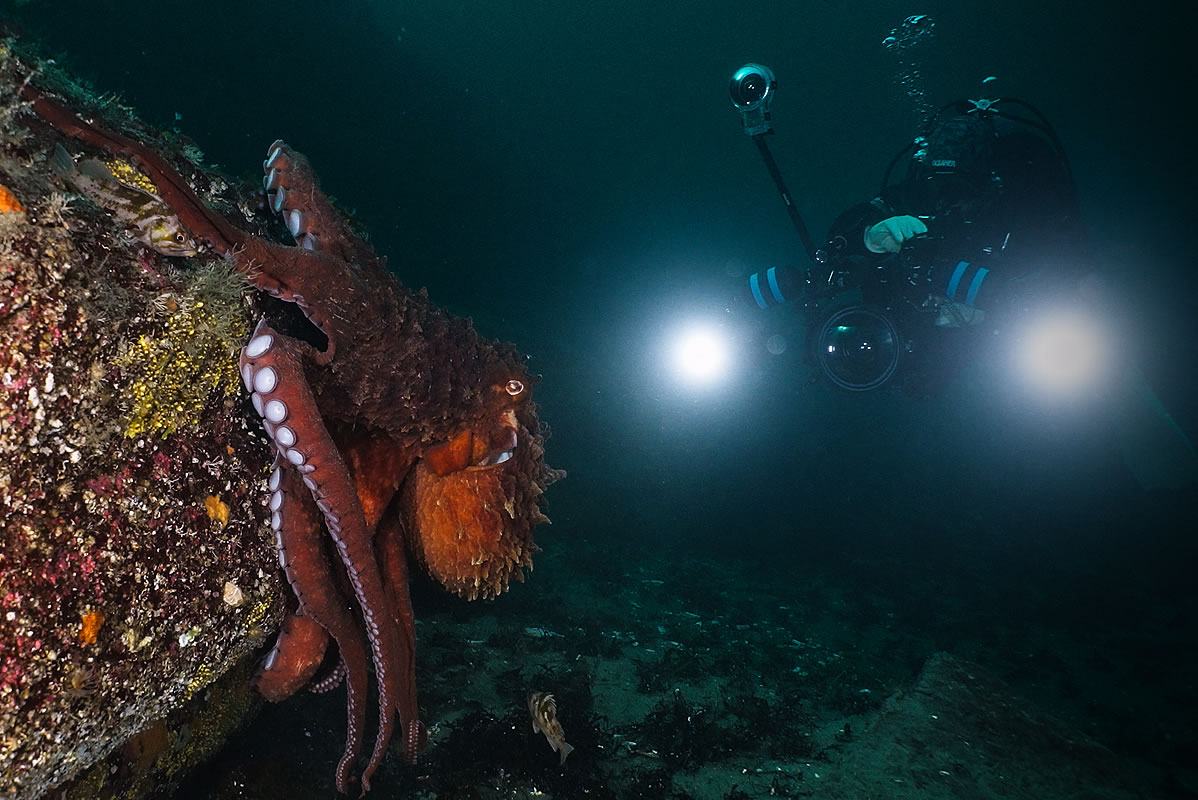 ScubaBC uses Kraken Professional Underwater Lighting