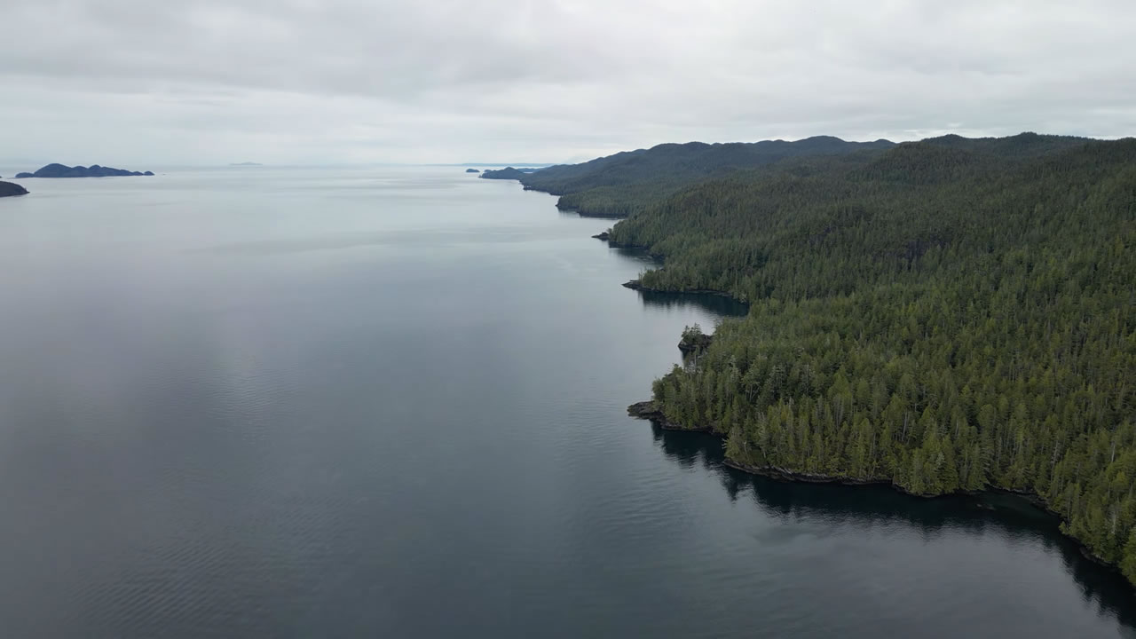 Vancouver Island coastline from above.