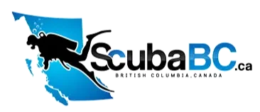 ScubaBC Stock Footage